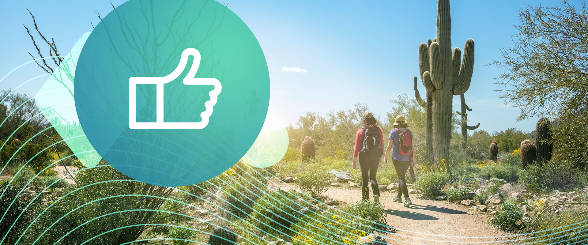 Unlock the Wonders of Camping in Arizona: Local Businesses and Blogs in Scottsdale