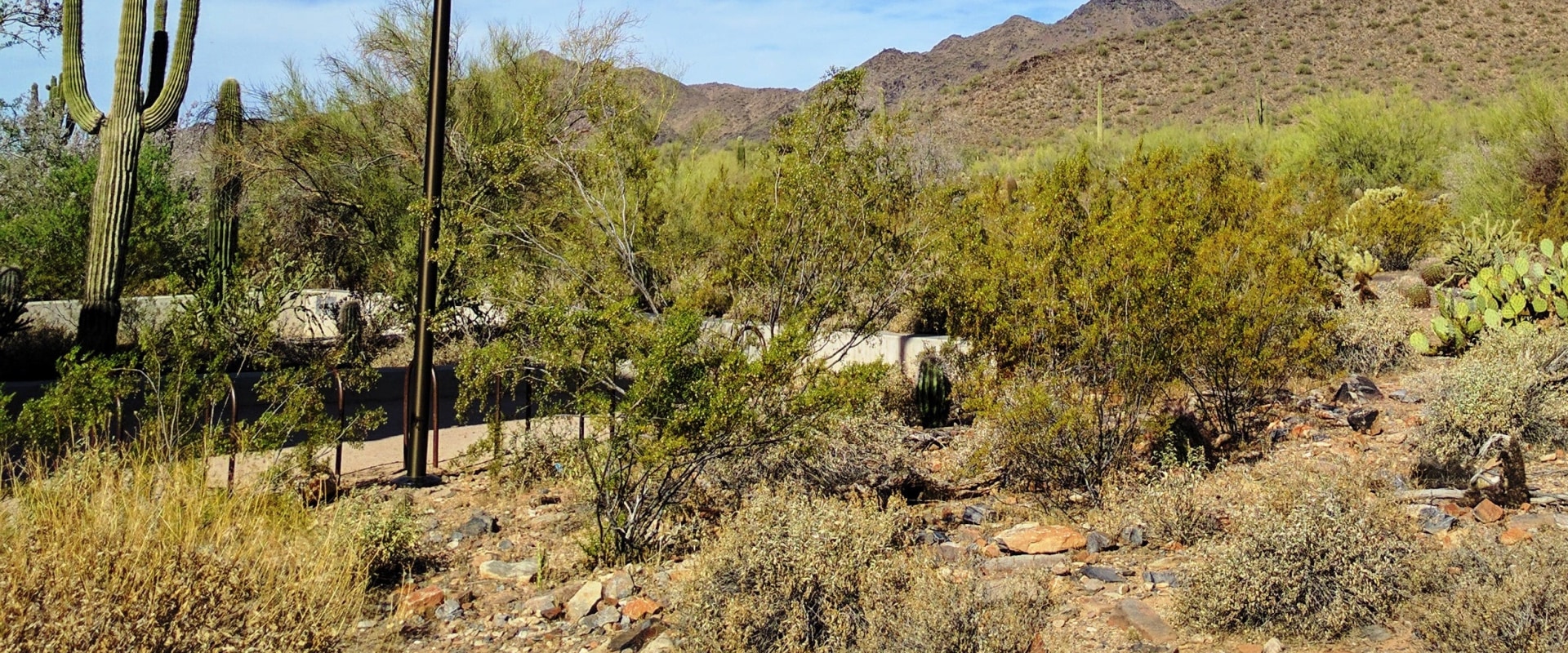 The Most Popular Businesses in Scottsdale, AZ: An Expert's Guide