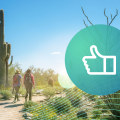 Unlock the Wonders of Camping in Arizona: Local Businesses and Blogs in Scottsdale
